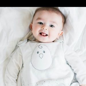 1 Nested Bean sleep sack size Medium 6-15mo. Smoke free home, washed in Dreft
